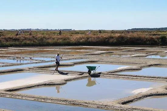 Maisonnette Entre Terre Et Lägenhet