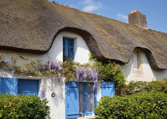 Maisonnette Entre Terre Et *